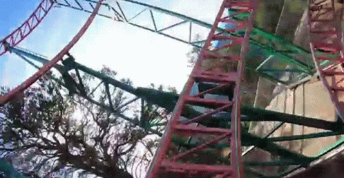 a roller coaster with the trees in front of it