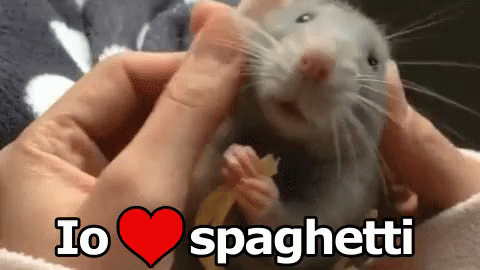 a small rat sitting inside of a person's hand with text reading, i love spaghettoti