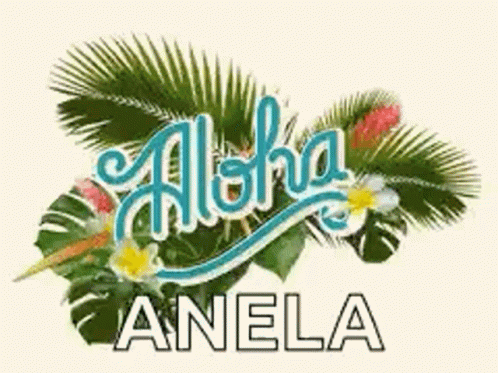 the logo for aloha anela