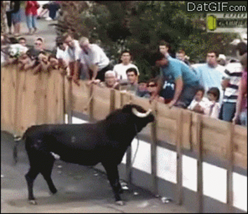 a bull is trying to jump over a wall