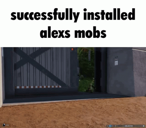 the door has a blue rug and there is an image with the caption saying successfully installed alex's mobs