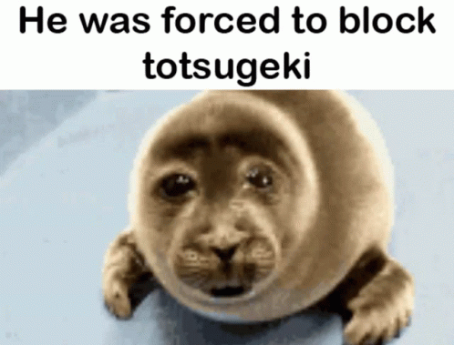 a monkey is smiling, but the caption says he was forced to block totsugeki