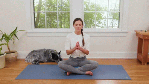 a woman practices yoga with her cat