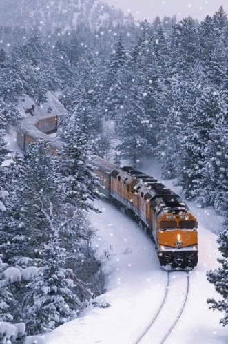 a long blue train on the tracks surrounded by trees