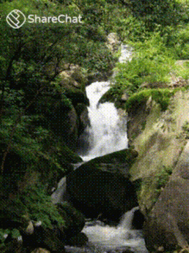 a stream flowing down the side of a mountain