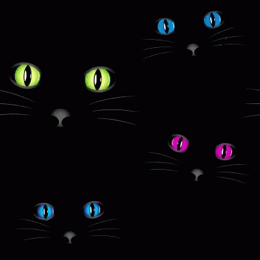 a row of colorful eyed cats in different colors