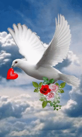 a white dove flies with blue flowers in it's beak