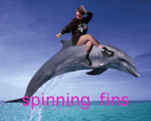a man riding a dolphin while it jumps in the air