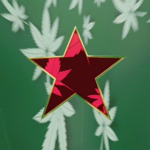 a blue and white star on a green background