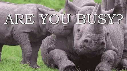 an adult rhino and baby rhino sitting in grass with a text below