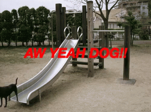 a little boy standing next to a slide and black dog