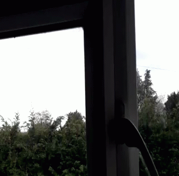 a bathroom window is open in front of a view of trees