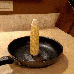a set is being used to cook an electric corn on the cob