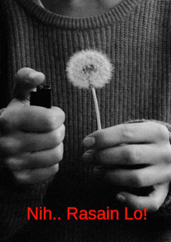 someone is holding a dandelion that is in their hands
