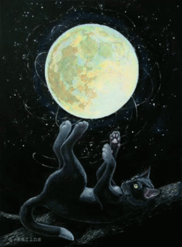 a cat is reaching for a light on the moon