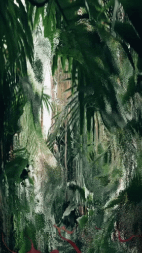 a scene of some plants and leaves in a jungle