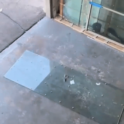 the sidewalk in front of a glass building has a grate on it