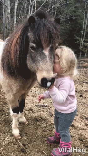 a small  kissing a horse on the nose