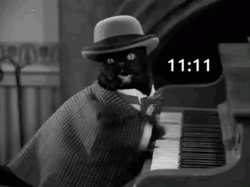 an image of a cat playing the piano