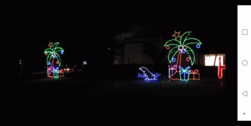 a group of palm trees with christmas lights on them