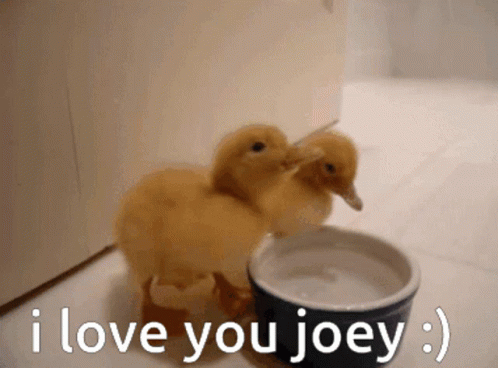 a stuffed toy in blue on a white floor with the text i love you joey
