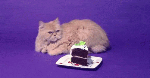 a cat next to a slice of cake on a plate
