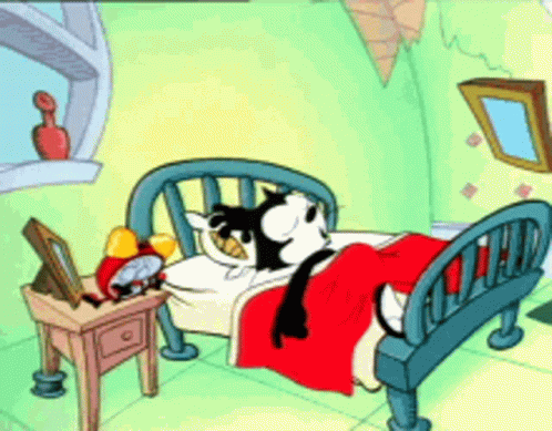 a cartoon person laying in bed while holding a cat