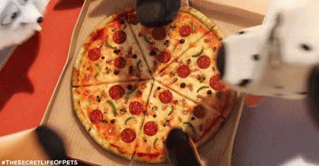 this is a po of a pizza that has been cut out with toothbrushes
