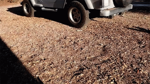 a golf cart parked on the gravel in front of an umbrella stand