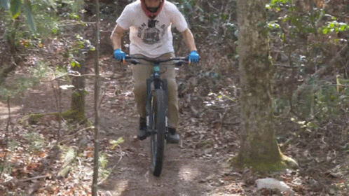 a man riding his mountain bike in a forest