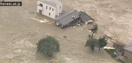several buildings stand up above a flood