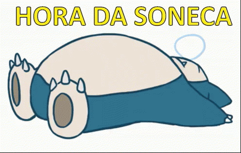 a poster that says'hora da soneca'with an image of a dog in a blanket