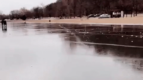 people walking through a park on a gray snowy day