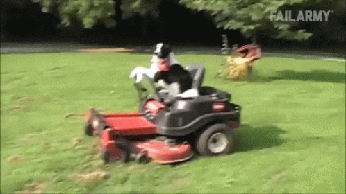 the dog is in the lawn on a toy lawnmower