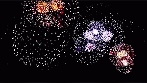 many different kinds of fireworks glowing up in the night sky