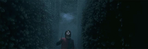 a woman is walking in a dark area with bushes