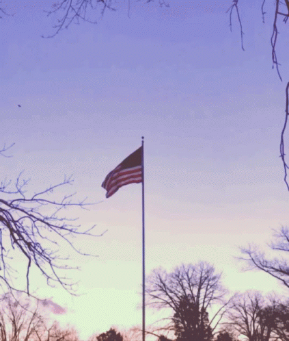 the american flag on a pole near some tree nches