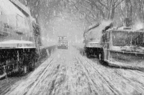 snow falls over buses on a snowy day