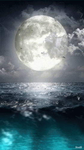 the moon is shining brightly over a large ocean