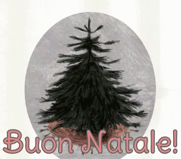 an image of a picture with the text buon natale