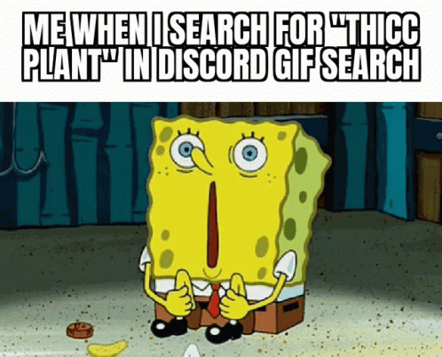 an spongeboach with caption says me when i search for the giant plant'n