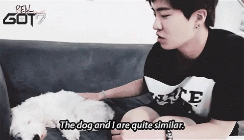 an asian boy sitting on the couch and petting a white dog