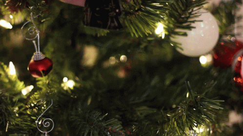 closeup of an ornament hanging from a green christmas tree