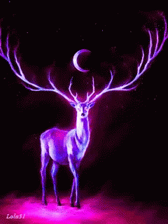 there is a deer with very big horns on the dark background