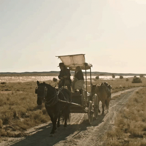 a horse drawn carriage riding down a road