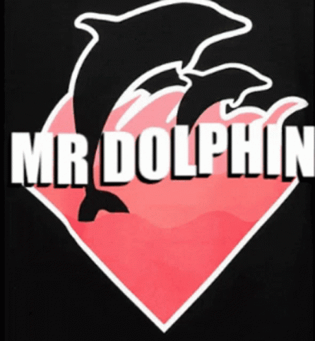 a picture of the dolphin in the ocean with the word mr dolphins