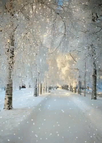 a snowy street with lots of trees and grass