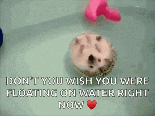 an ad with an image of an opossh laying in water with a heart shaped object in front of it