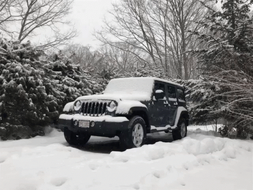 a jeep is parked in the snow surrounded by trees