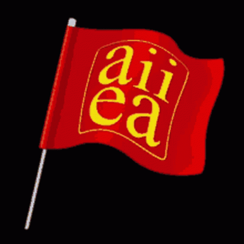 a flag that reads air eaa on it